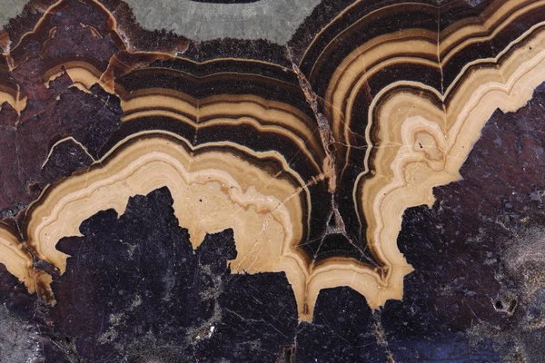 Texture d'agate naturelle — Photo