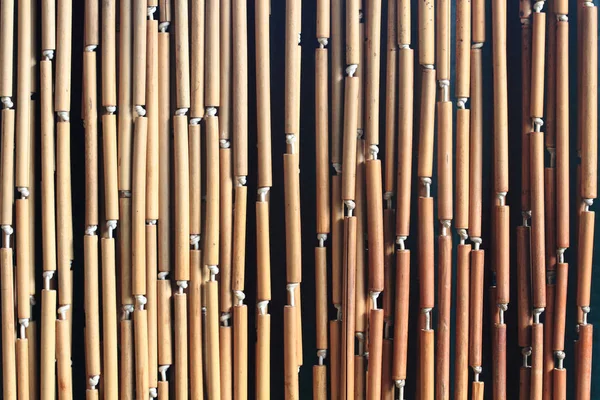 竹植物纹理 — 图库照片