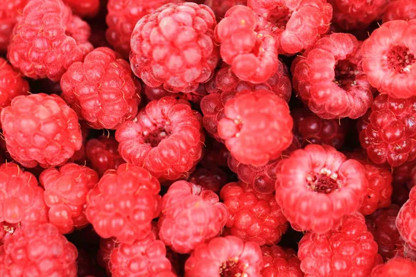 Rote Himbeeren Textur — Stockfoto