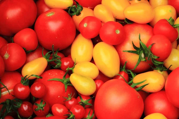 Red yellow tomato background — Stock Photo, Image