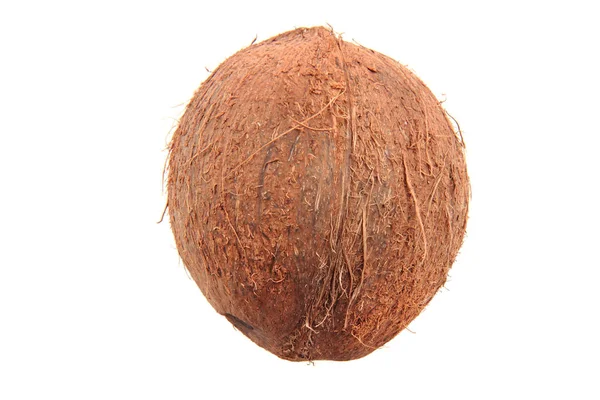 Noce di cocco marrone fresca — Foto Stock
