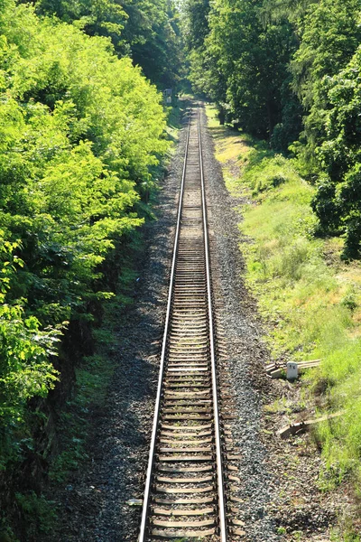 铁路在森林里作为好运输背景 — 图库照片