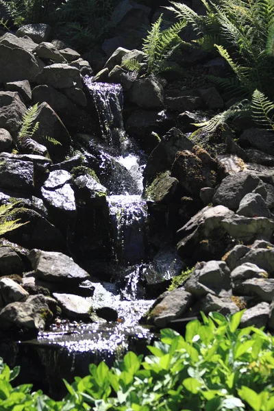 Małych rock wodospad — Zdjęcie stockowe