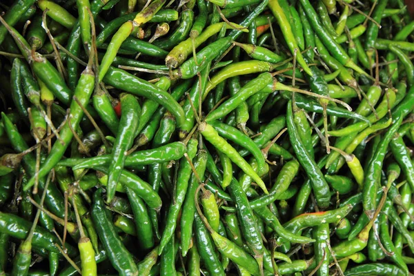 Güzel Yiyecek Arka Plan Olarak Taze Yeşil Soğuk Baharat — Stok fotoğraf