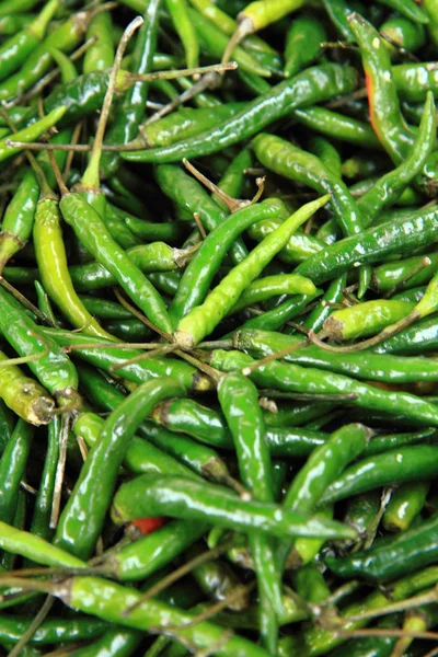 fresh green chilly spice as nice food background