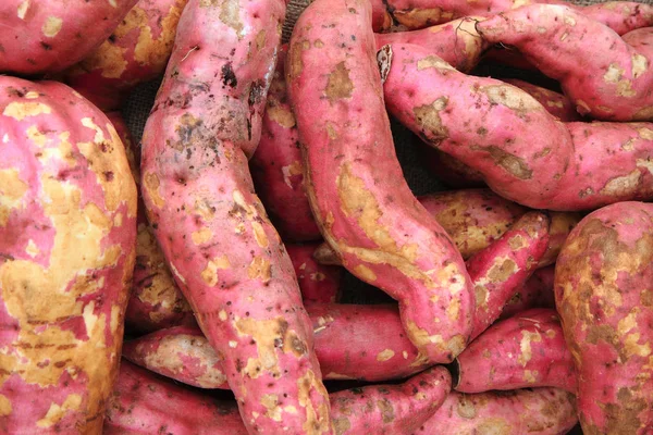 Patatas Rojas Dulces África Como Fondo Gourmet Agradable —  Fotos de Stock