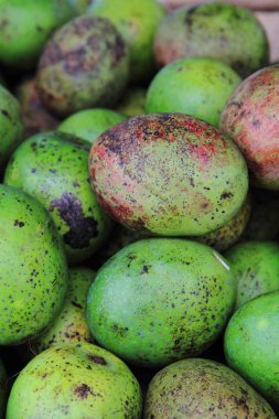 Mango meyve çok güzel yiyecek arka plan olarak