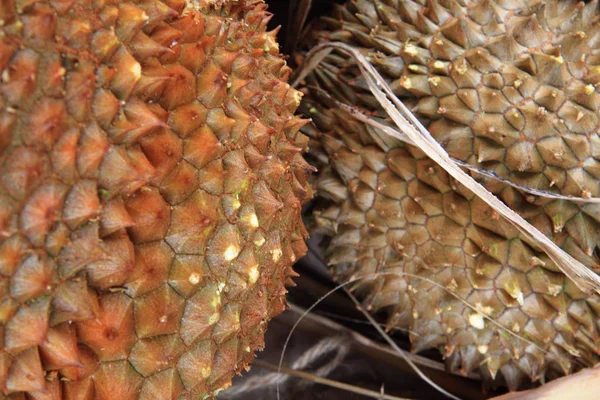 Textura Fruta Durian Como Fundo Gourmet Muito Agradável — Fotografia de Stock