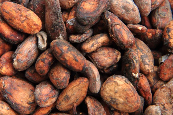 Grãos Cacau Secos Como Fundo Comida Agradável — Fotografia de Stock