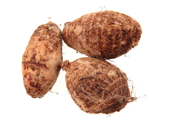 Taro root isolated — Stock Photo, Image