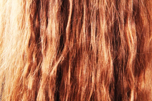 Textura de pelo mujer — Foto de Stock