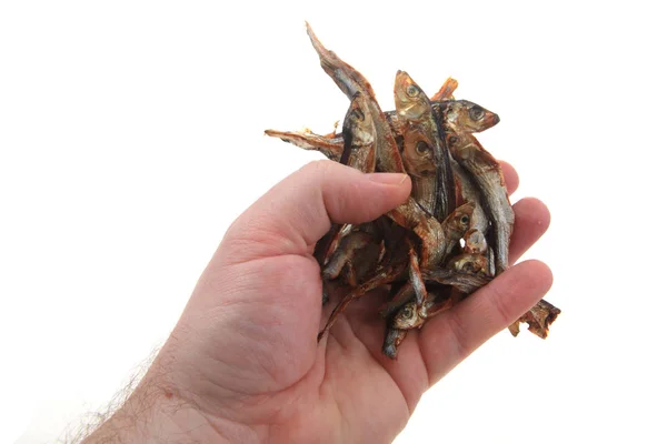 Gedroogde ansjovis vissen geïsoleerd — Stockfoto