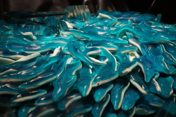 Blue candy dolphins — Stock Photo, Image