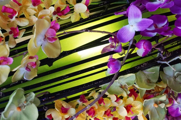 Struttura di colore di fiori di orchidea — Foto Stock