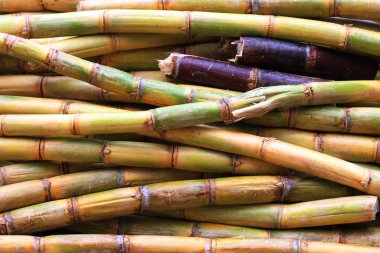 şeker kamışı doku güzel doğal arka plan olarak