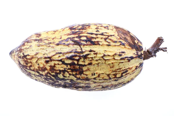 Cocoa fruit isolated — Stock Photo, Image