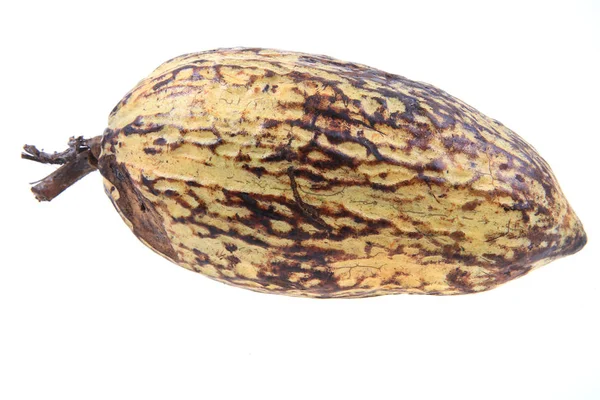 Frutti di cacao isolati — Foto Stock