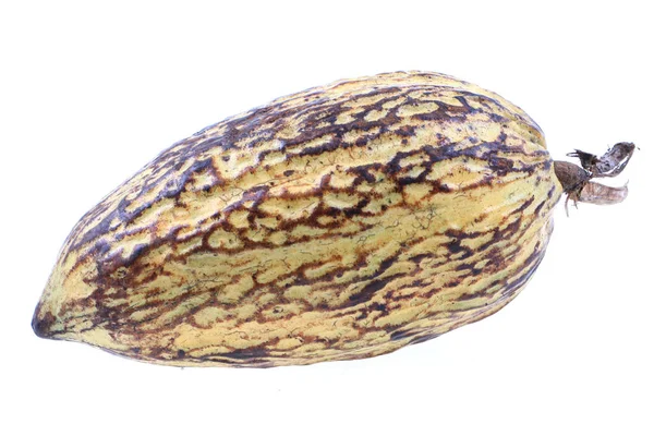 Cacao vrucht geïsoleerd — Stockfoto