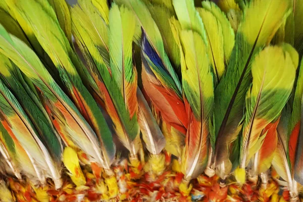 Feather color texture — Stock Photo, Image