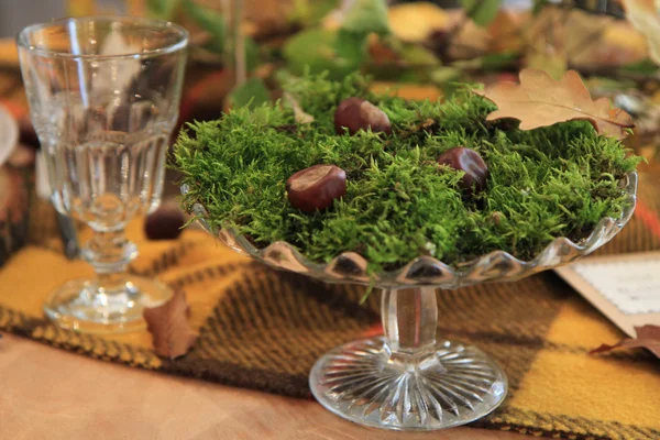 Decoração musgo verde na mesa — Fotografia de Stock