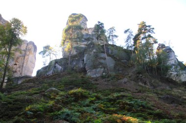 çok güzel doğal arka plan olarak orman kayalarda