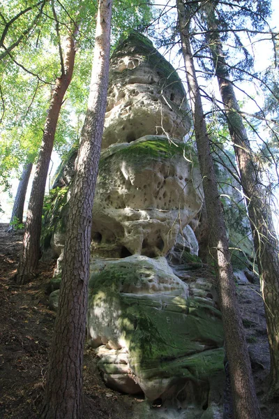 非常に素敵な自然の背景として森の岩 — ストック写真