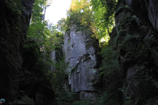 Felsen Wald Als Sehr Schöner Natürlicher Hintergrund — Stockfoto