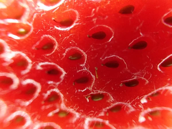 Micro texture de fraise fraîche — Photo