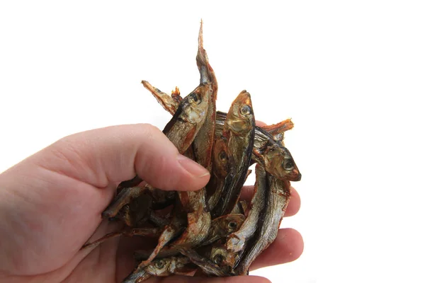 Peixes secos da sardinha — Fotografia de Stock