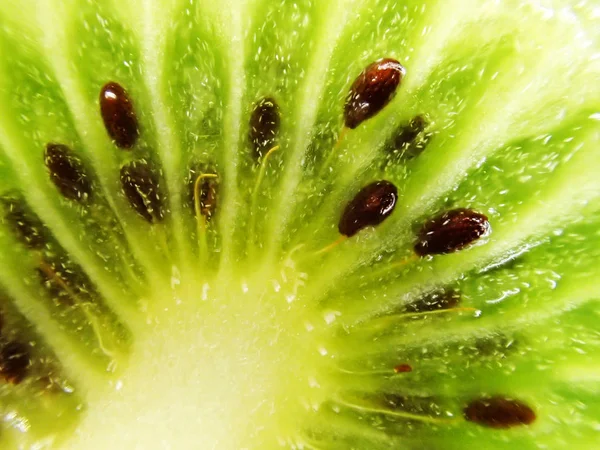 Kiwi fruta textura natural — Fotografia de Stock