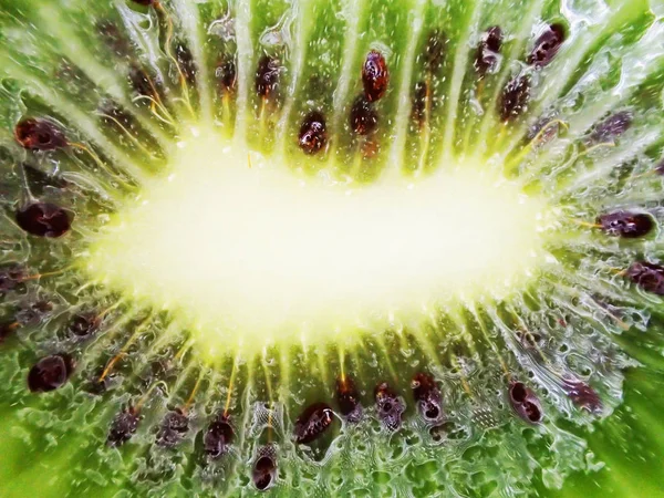 Kiwi fruta textura natural — Fotografia de Stock