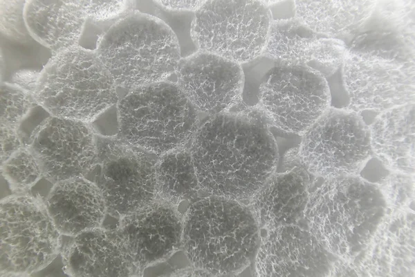Текстура білого пінополістиролу — стокове фото