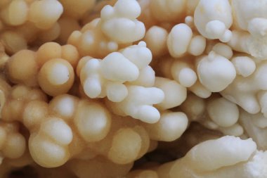 kalsit mineral yapısı 