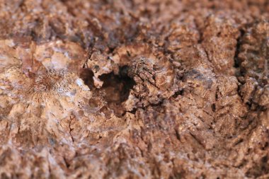 bakır metal maden doku