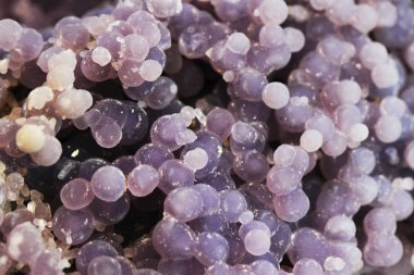 üzüm akik mineral doku