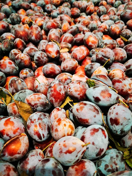 Plums fruits texture — Stock Photo, Image