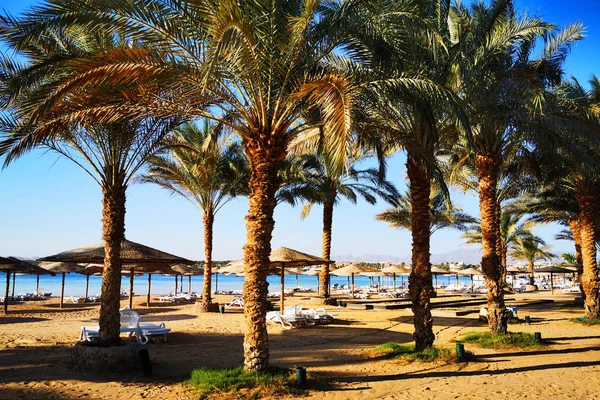 Playa en el Egipto — Foto de Stock