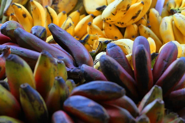 banana fruits from africa