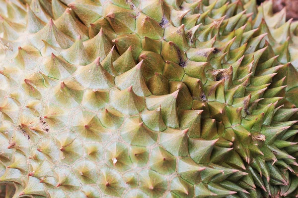 Durian fruit texture — Stock Photo, Image