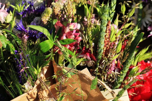 Flores del prado como textura de verano muy agradable — Foto de Stock
