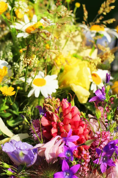 Meadow flowers as very nice summer texture — Stock Photo, Image