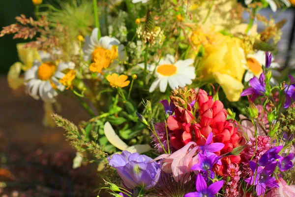 Meadow flowers as very nice summer texture — Stock Photo, Image