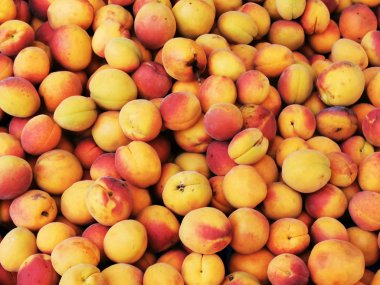 taze kayısılar meyve dokusu