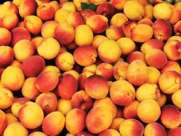 Fresh apricots fruit texture — Stock Photo, Image