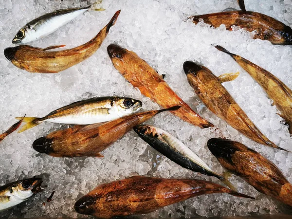 Frische Fische auf den Eiswürfeln — Stockfoto