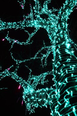 Ağaçta yılbaşı ışıkları