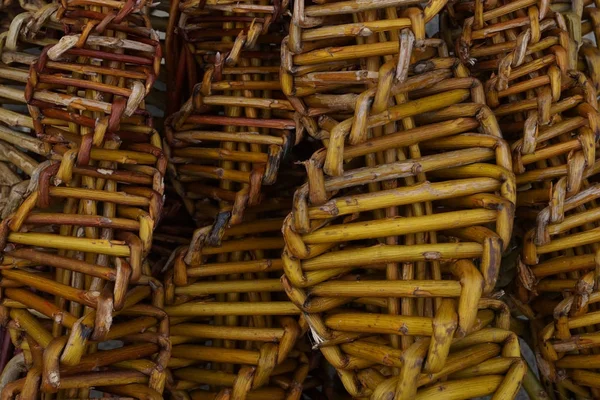 Czech easter pussywillow twigs — Stock Photo, Image