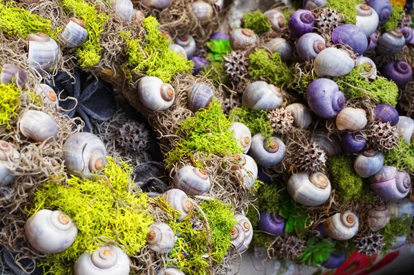 カタツムリとの素敵な花の装飾 — ストック写真