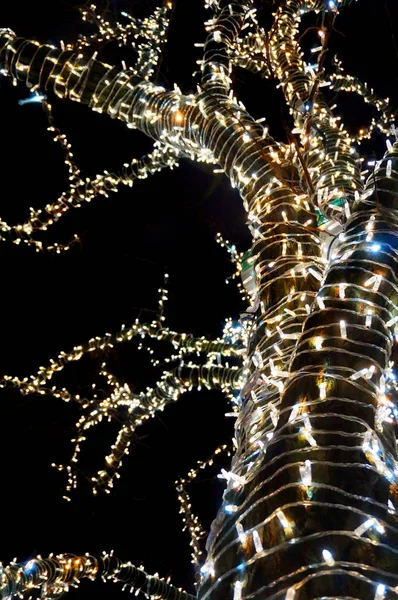 Weihnachtsbeleuchtung am Baum — Stockfoto