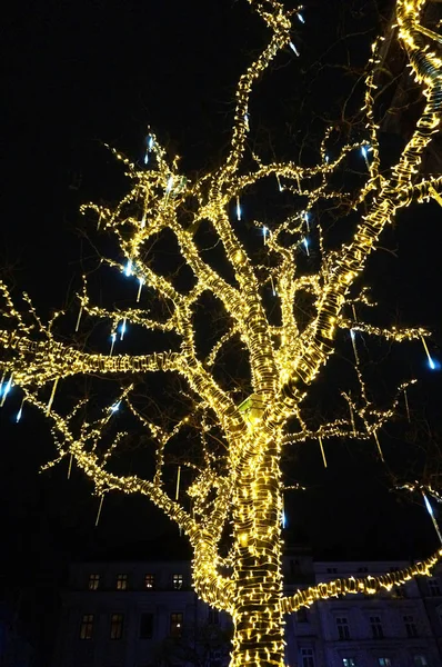Luzes de Natal na árvore — Fotografia de Stock